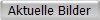 Aktuelle Bilder